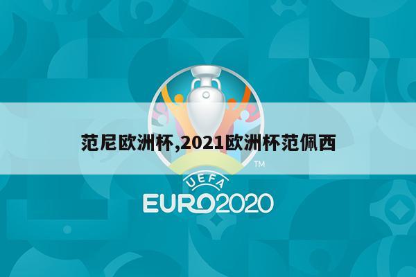 范尼欧洲杯,2021欧洲杯范佩西